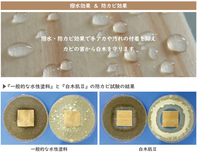 白木肌Ⅱは撥水・某媚効果で手垢や汚れの付着を抑えてカビの害から白木を守ります。